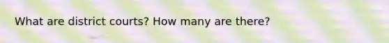 What are district courts? How many are there?