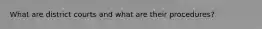 What are district courts and what are their procedures?
