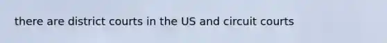 there are district courts in the US and circuit courts