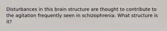 Disturbances in this brain structure are thought to contribute to the agitation frequently seen in schizophrenia. What structure is it?