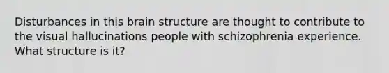 Disturbances in this brain structure are thought to contribute to the visual hallucinations people with schizophrenia experience. What structure is it?