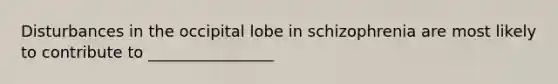 Disturbances in the occipital lobe in schizophrenia are most likely to contribute to ________________