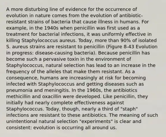 A more disturbing line of evidence for the occurrence of evolution in nature comes from the evolution of antibiotic-resistant strains of bacteria that cause illness in humans. For example, in the 1940s when penicillin was first used as a treatment for bacterial infections, it was uniformly effective in killing Staphylococcus aureus. Today, more than 90% of isolated S. aureus strains are resistant to penicillin (Figure 8-43 Evolution in progress: disease-causing bacteria). Because penicillin has become such a pervasive toxin in the environment of Staphylococcus, natural selection has lead to an increase in the frequency of the alleles that make them resistant. As a consequence, humans are increasingly at risk for becoming infected with Staphylococcus and getting diseases such as pneumonia and meningitis. In the 1960s, the antibiotics methicillin and oxacillin were developed. Like penicillin, they initially had nearly complete effectiveness against Staphylococcus. Today, though, nearly a third of "staph" infections are resistant to these antibiotics. The meaning of such unintentional natural selection "experiments" is clear and consistent: evolution is occurring all around us.