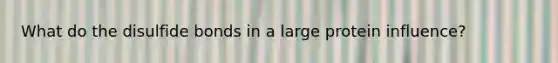 What do the disulfide bonds in a large protein influence?