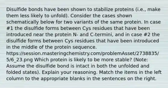 Disulfide bonds have been shown to stabilize proteins (i.e., make them less likely to unfold). Consider the cases shown schematically below for two variants of the same protein. In case #1 the disulfide forms between Cys residues that have been introduced near the protein N- and C-termini, and in case #2 the disulfide forms between Cys residues that have been introduced in the middle of the protein sequence. https://session.masteringchemistry.com/problemAsset/2738835/5/6_23.png Which protein is likely to be more stable? (Note: Assume the disulfide bond is intact in both the unfolded and folded states). Explain your reasoning. Match the items in the left column to the appropriate blanks in the sentences on the right.