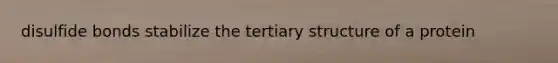 disulfide bonds stabilize the tertiary structure of a protein