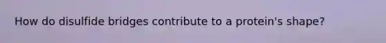 How do disulfide bridges contribute to a protein's shape?