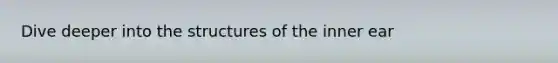 Dive deeper into the structures of the inner ear