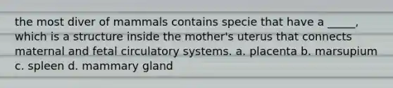 the most diver of mammals contains specie that have a _____, which is a structure inside the mother's uterus that connects maternal and fetal circulatory systems. a. placenta b. marsupium c. spleen d. mammary gland