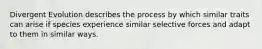 Divergent Evolution describes the process by which similar traits can arise if species experience similar selective forces and adapt to them in similar ways.