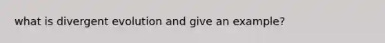 what is divergent evolution and give an example?