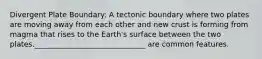 Divergent Plate Boundary: A tectonic boundary where two plates are moving away from each other and new crust is forming from magma that rises to the Earth's surface between the two plates.______________________________ are common features.