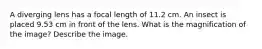 A diverging lens has a focal length of 11.2 cm. An insect is placed 9.53 cm in front of the lens. What is the magnification of the image? Describe the image.