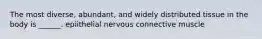 The most diverse, abundant, and widely distributed tissue in the body is ______. epiithelial nervous connective muscle