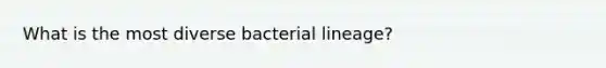 What is the most diverse bacterial lineage?