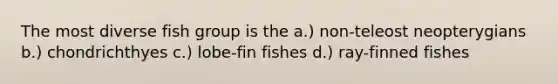 The most diverse fish group is the a.) non-teleost neopterygians b.) chondrichthyes c.) lobe-fin fishes d.) ray-finned fishes