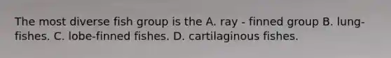 The most diverse fish group is the A. ray - finned group B. lung-fishes. C. lobe-finned fishes. D. cartilaginous fishes.