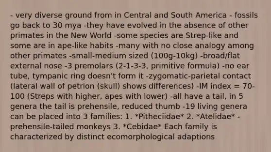 - very diverse ground from in Central and South America - fossils go back to 30 mya -they have evolved in the absence of other primates in the New World -some species are Strep-like and some are in ape-like habits -many with no close analogy among other primates -small-medium sized (100g-10kg) -broad/flat external nose -3 premolars (2-1-3-3, primitive formula) -no ear tube, tympanic ring doesn't form it -zygomatic-parietal contact (lateral wall of petrion (skull) shows differences) -IM index = 70-100 (Streps with higher, apes with lower) -all have a tail, in 5 genera the tail is prehensile, reduced thumb -19 living genera can be placed into 3 families: 1. *Pitheciidae* 2. *Atelidae* - prehensile-tailed monkeys 3. *Cebidae* Each family is characterized by distinct ecomorphological adaptions