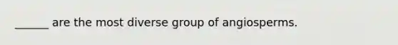 ______ are the most diverse group of angiosperms.