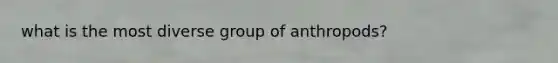 what is the most diverse group of anthropods?