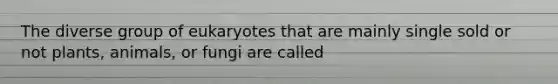 The diverse group of eukaryotes that are mainly single sold or not plants, animals, or fungi are called