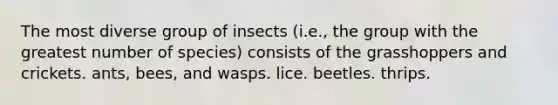 The most diverse group of insects (i.e., the group with the greatest number of species) consists of the grasshoppers and crickets. ants, bees, and wasps. lice. beetles. thrips.