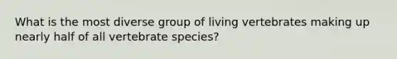 What is the most diverse group of living vertebrates making up nearly half of all vertebrate species?