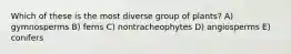 Which of these is the most diverse group of plants? A) gymnosperms B) ferns C) nontracheophytes D) angiosperms E) conifers