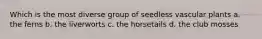 Which is the most diverse group of seedless vascular plants a. the ferns b. the liverworts c. the horsetails d. the club mosses