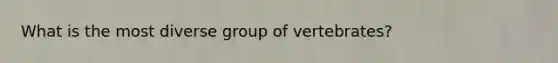 What is the most diverse group of vertebrates?