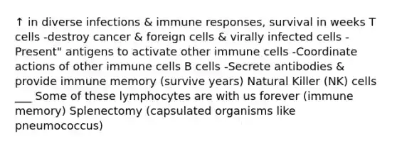 ↑ in diverse infections & immune responses, survival in weeks T cells -destroy cancer & foreign cells & virally infected cells -Present" antigens to activate other immune cells -Coordinate actions of other immune cells B cells -Secrete antibodies & provide immune memory (survive years) Natural Killer (NK) cells ___ Some of these lymphocytes are with us forever (immune memory) Splenectomy (capsulated organisms like pneumococcus)