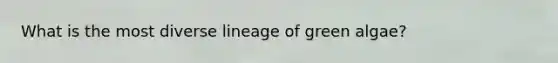 What is the most diverse lineage of green algae?