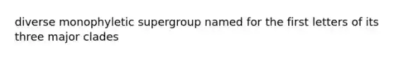 diverse monophyletic supergroup named for the first letters of its three major clades