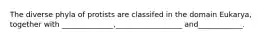 The diverse phyla of protists are classifed in the domain Eukarya, together with ______________,__________________ and____________.