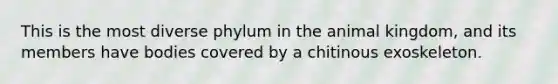 This is the most diverse phylum in the animal kingdom, and its members have bodies covered by a chitinous exoskeleton.