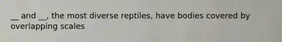 __ and __, the most diverse reptiles, have bodies covered by overlapping scales