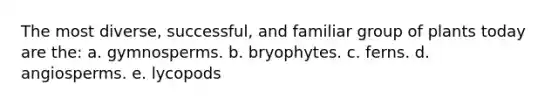 The most diverse, successful, and familiar group of plants today are the: a. gymnosperms. b. bryophytes. c. ferns. d. angiosperms. e. lycopods