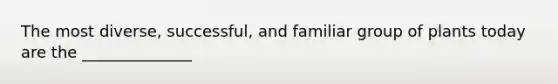 The most diverse, successful, and familiar group of plants today are the ______________