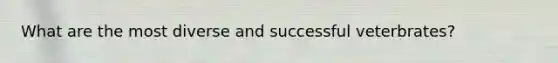 What are the most diverse and successful veterbrates?