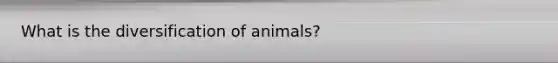 What is the diversification of animals?