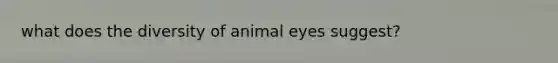 what does the diversity of animal eyes suggest?