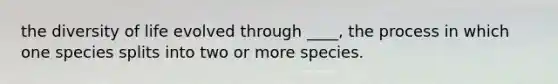 the diversity of life evolved through ____, the process in which one species splits into two or more species.