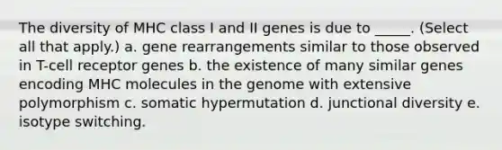 The diversity of MHC class I and II genes is due to _____. (Select all that apply.) a. gene rearrangements similar to those observed in T-cell receptor genes b. the existence of many similar genes encoding MHC molecules in the genome with extensive polymorphism c. somatic hypermutation d. junctional diversity e. isotype switching.