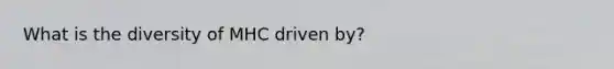 What is the diversity of MHC driven by?