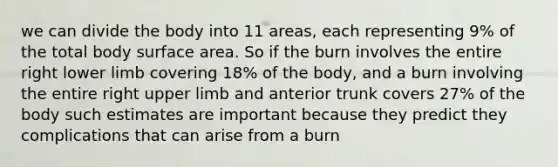 we can divide the body into 11 areas, each representing 9% of the total body surface area. So if the burn involves the entire right lower limb covering 18% of the body, and a burn involving the entire right upper limb and anterior trunk covers 27% of the body such estimates are important because they predict they complications that can arise from a burn