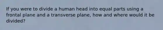 If you were to divide a human head into equal parts using a frontal plane and a transverse plane, how and where would it be divided?