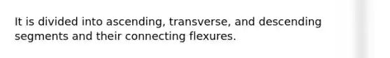 It is divided into ascending, transverse, and descending segments and their connecting flexures.