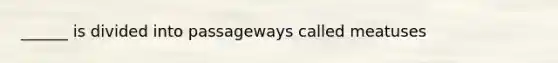 ______ is divided into passageways called meatuses