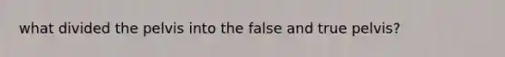 what divided the pelvis into the false and true pelvis?