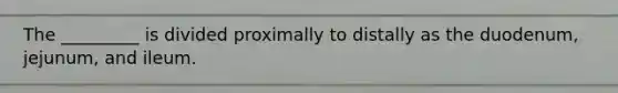 The _________ is divided proximally to distally as the duodenum, jejunum, and ileum.